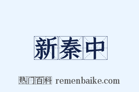 新秦中是什么意思的图片